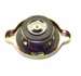 SY44619 :  Forklift RADIATOR CAP