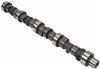 212T1-05581 : CAMSHAFT FOR TCM