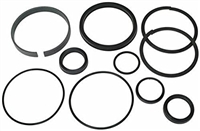 555725: SEAL KIT - HYDRAULIC CYLINDER FOR CASCADE