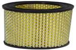 Air Filter  HYSTER HY668788