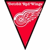 Detroit Red Wings NHL Pennant Banner