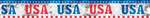 Patriotic USA Foil Banner