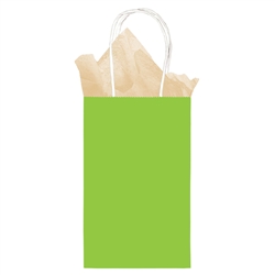 Kiwi Green Small Kraft Bag