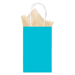 Turquoise Small Kraft Bag