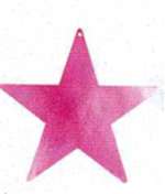 Fuchsia Star Foil Cutout
