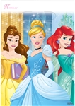 Disney Princess Dream Big Loot Bags