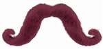 Burgundy Moustache