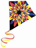 WILD FLOWER KITE 24"