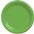 KIWI DINNER PLASTIC PLATES 10.25in.-20 CT