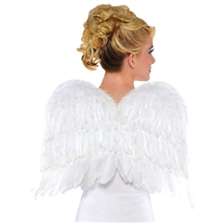 White Feather 22 inch Wings