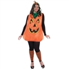 Pretty Pumpkin Plus Size Adult Costume
