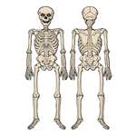 Vintage Look Jointed Skeleton Cutout