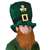 Leprechaun Hat With Beard