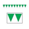 GREEN PENNANT BANNER INDOOR/OUTDOOR