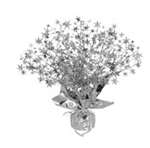 STAR GLEAM N BURST CENTERPIECE - SILVER