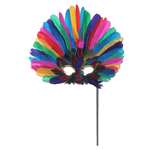 Multicolor Feather Mask with Stick