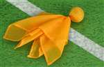 PENALTY FLAG