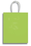 APPLE GREEN SMALL CLAY COATED BAG