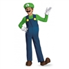 Super Mario Brothers Luigi Classic Kids Costume - Large