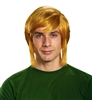 Legend of Zelda Link Adult Wig