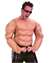 MUSCLE SHIRT - ADULT COSTUME ACCESSORY