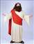 JESUS PLUS SIZE ADULT COSTUME