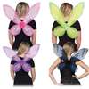 Fairy Wings Adult Assorted