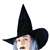 TAFFETA WITCH HAT WITH HAIR