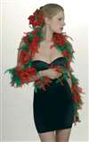 Christmas Boa Red And Green