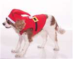 Santa Suit Pet Costume Large