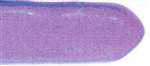 VENUS PURPLE MAKE-UP STICK - MINI