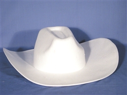 White Cowboy Hat