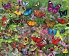 Butterflies, Butterflies, Butterflies 1,000 Piece Puzzle