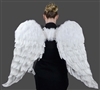 Angel Wings Adult Size