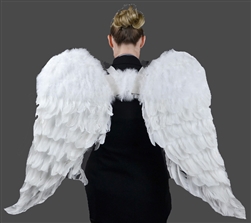 Angel Wings Adult Size