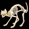 Skeleton Cat Crazy Bones Prop