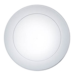 9in. Clear Party Plates 30Ct