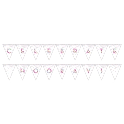 Iridescent Pennant Banner