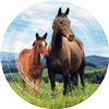 Horse And Pony 7 Inch Plates