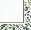 Eucalyptus Green Beverage Napkins