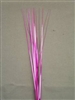 MAGENTA ONION GRASS