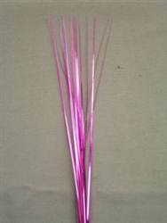 MAGENTA ONION GRASS