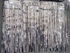 SILVER VALANCE (15  X 10')