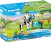 Playmobil Country Collectible Classic Pony Set