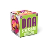 DNA Stress Ball Assorted Colors