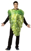 Bunch Of Green Grapes Adult Costume