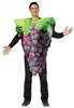 Bunch Of Purple Grapes Adult Costume
