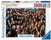 Harry Potter Challenge 1000 Piece Puzzle