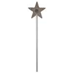 Silver Star Wand