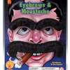 LARGE MOUSTACHE AND EYEBROWN SET